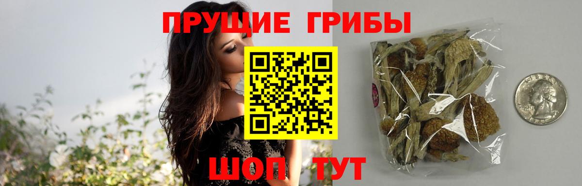 Галлюциногенные грибы Psilocybine cubensis  Псилоцибиновые грибы прущие грибы  Бахчисарай  купить закладку  Вход с VPN 